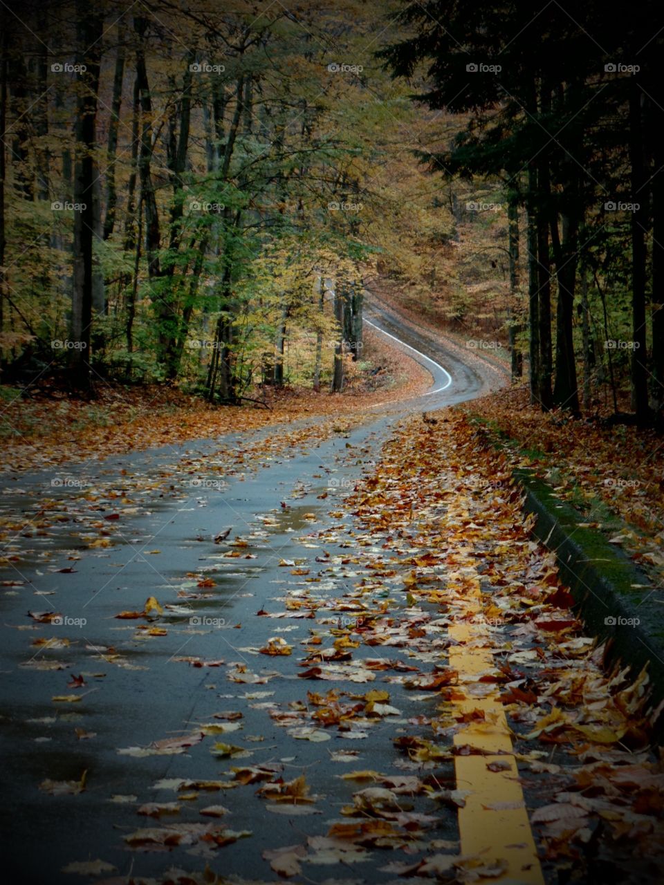 Northern Michigan 