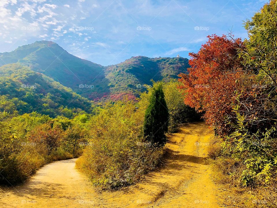 Autum in shaolin songshan temple