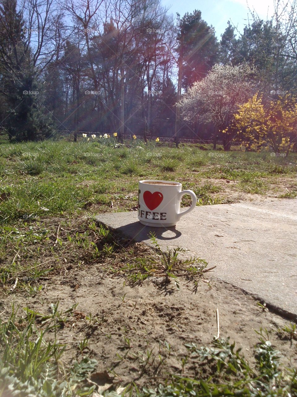 Spring is in the air. sunshine coffee