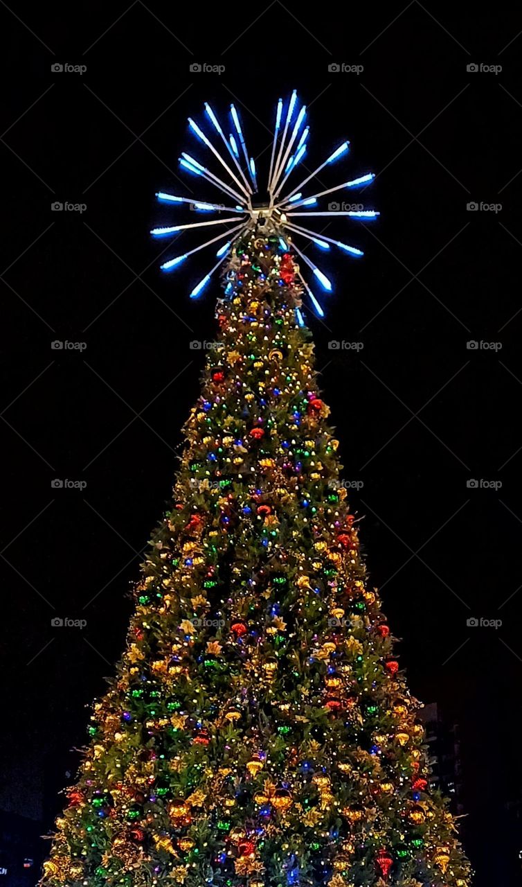 Merry Christmas tree