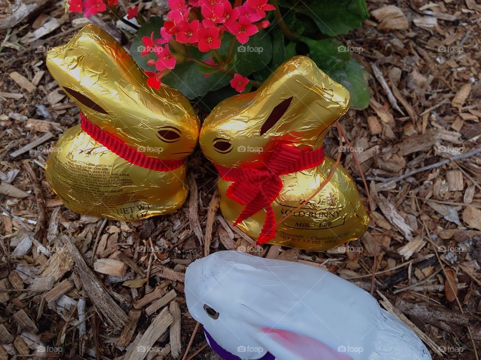 A chocolate bunny Easter party.