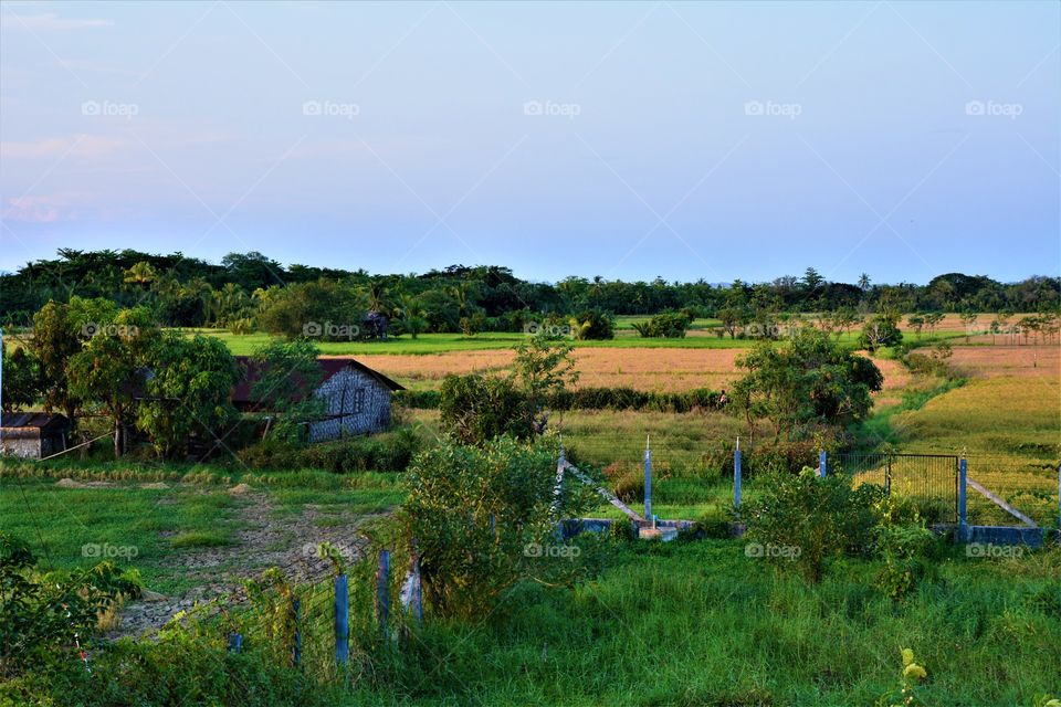 Tropical wet zone in Myanmar remote area