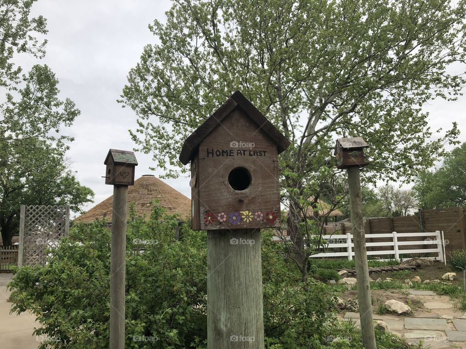 Bird homes