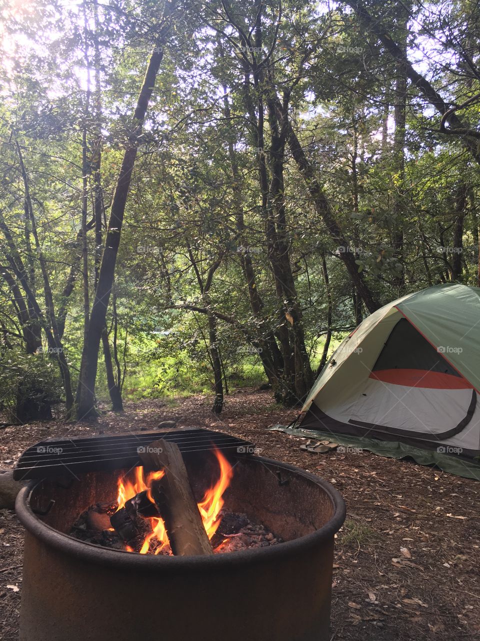 Fire by our tent at redwood national park