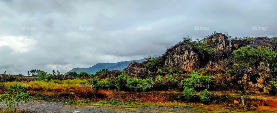 nature