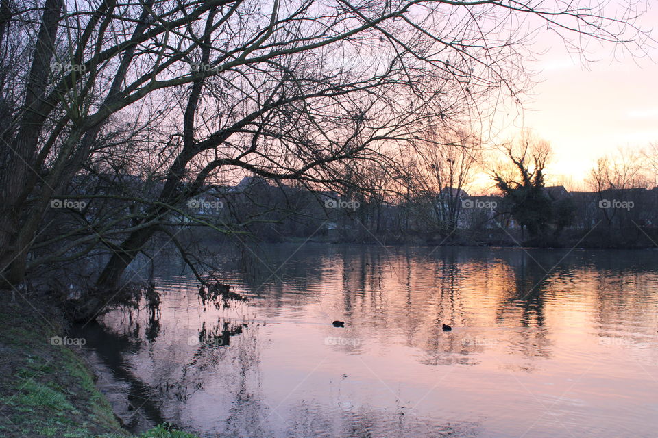 Sonnenaufgang am Neckar