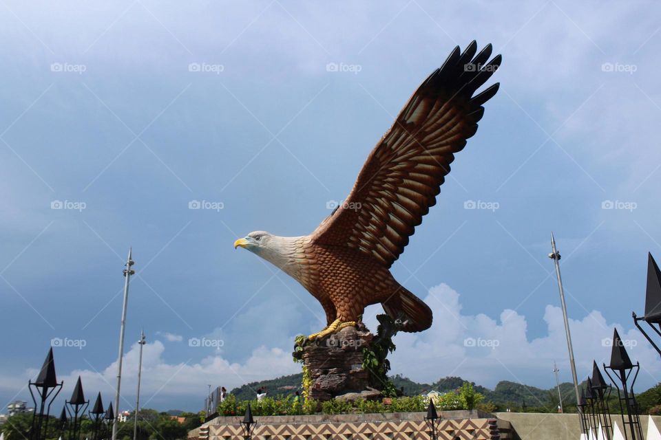 Eagle's wingspan and eagle sanctuary on Langkawi and near-by islands in Malaysia. 