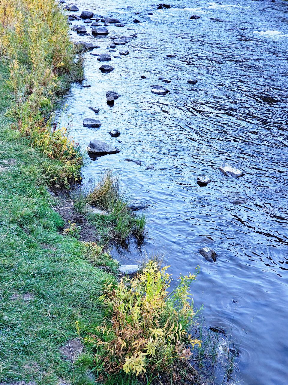 The beautiful Crooked River with fall colored bushes on its banks flows through a canyon formed from andesite and basalt flows on a nice autumn evening in Central Oregon. 