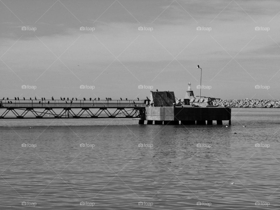 Black and white supremacy