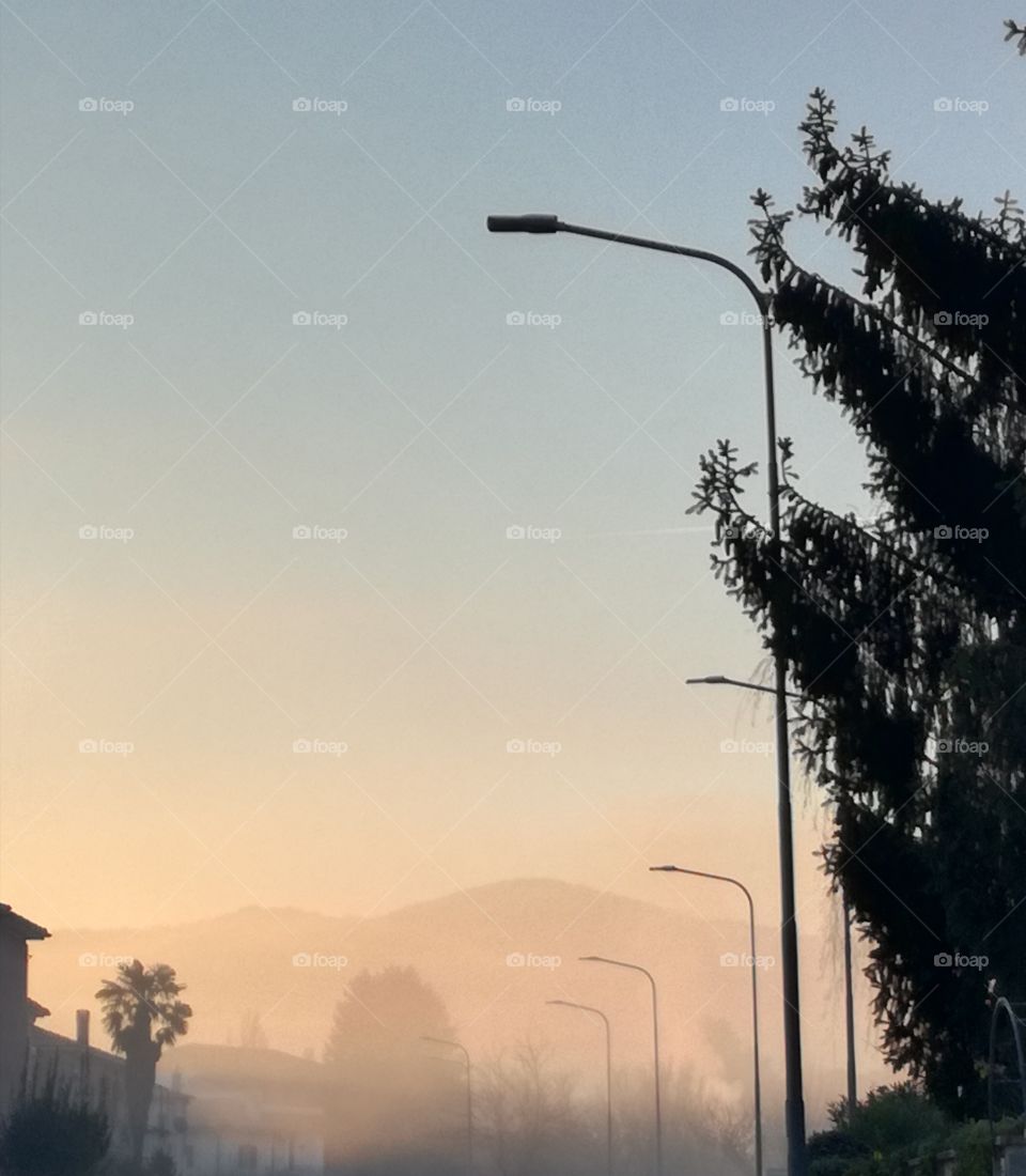 Slight mist on a frozen morning