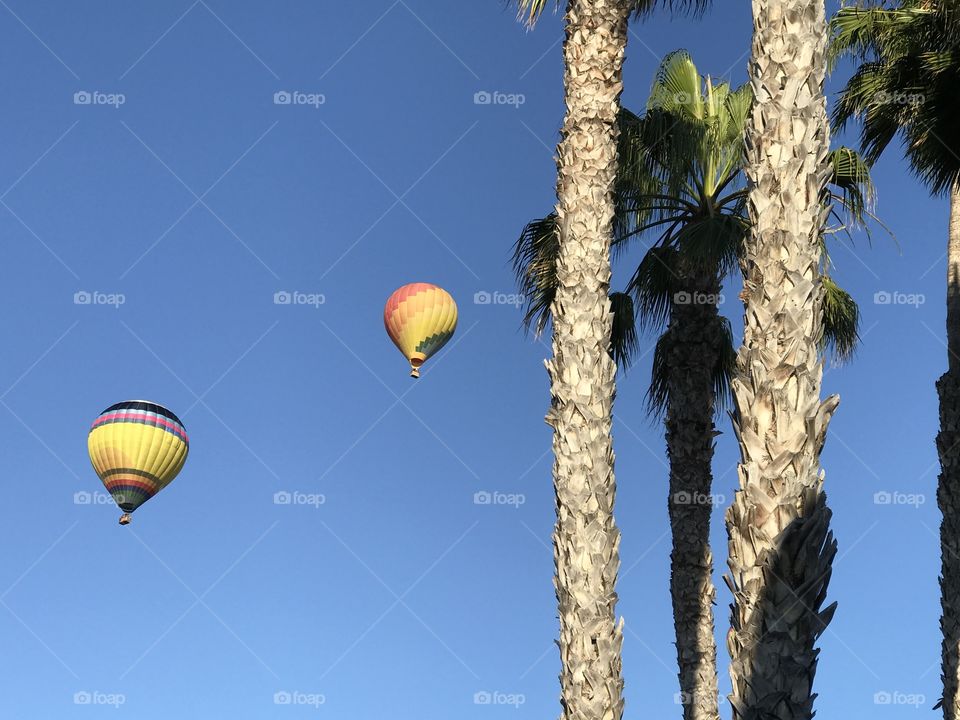 Balloon over Rancho Santa Fe, Ca
