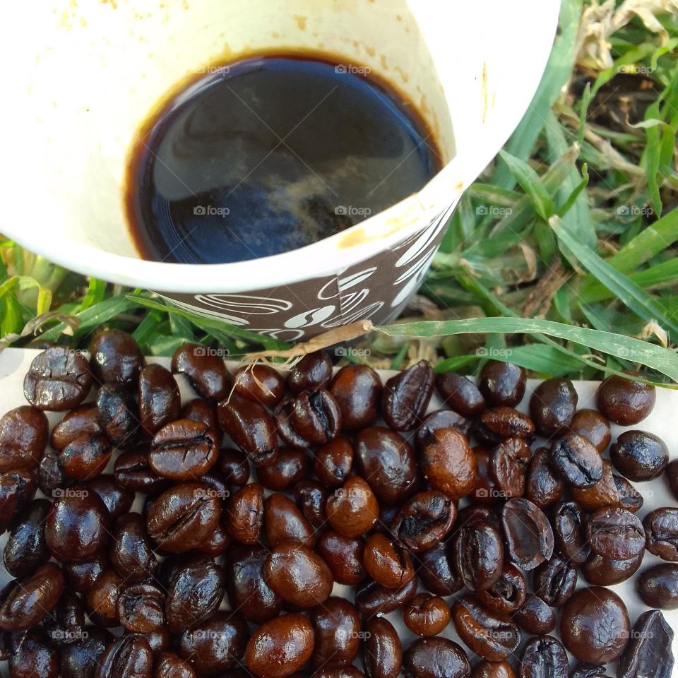 tasty and freshly coffee, coffee beans, love coffee