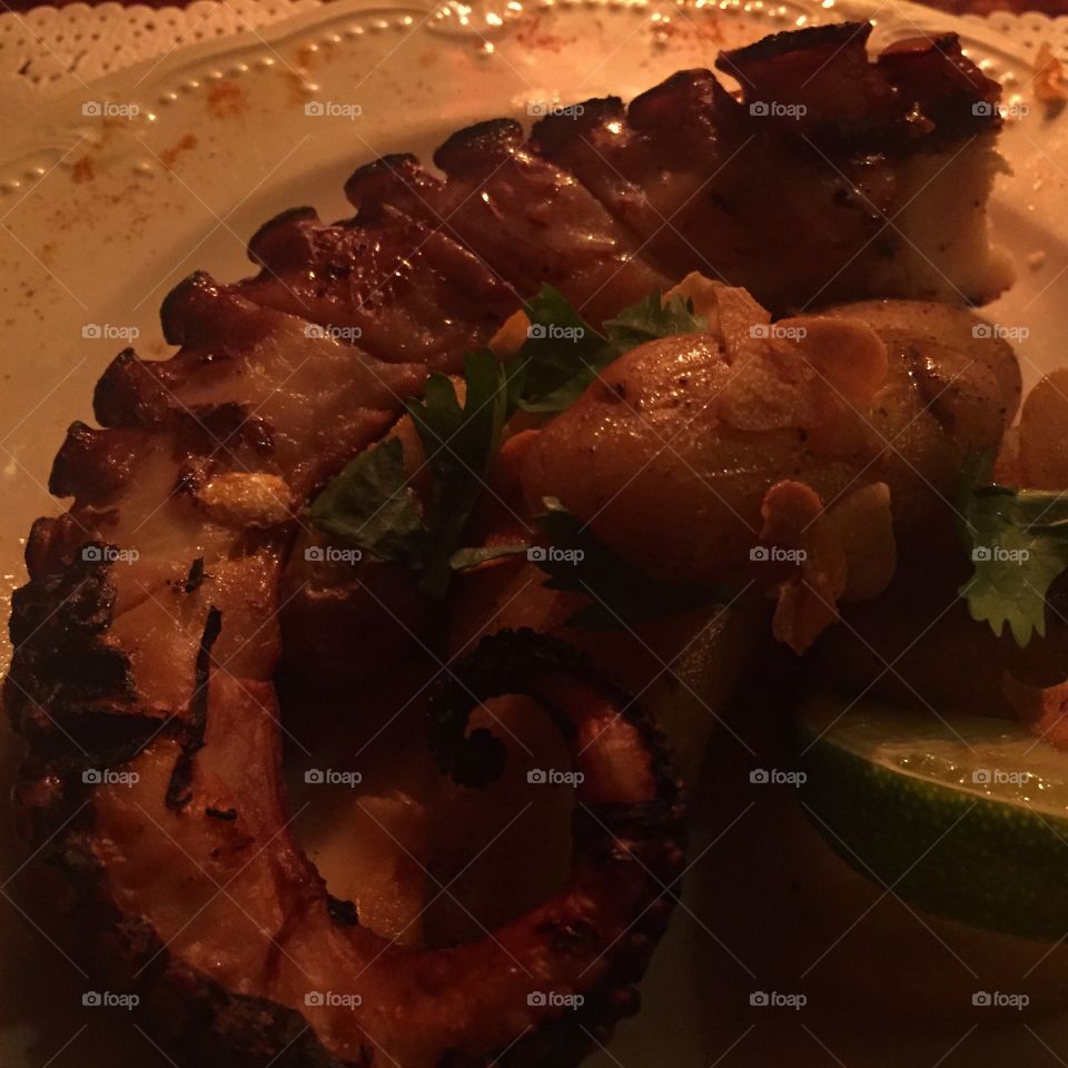 Octopus, Cuchi Cuchi, Cambridge 