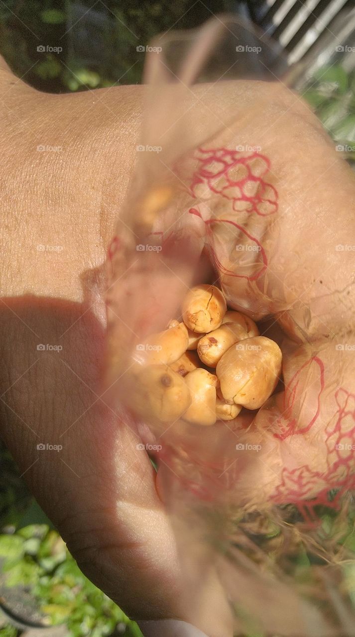 Eat fried peanuts in plastic