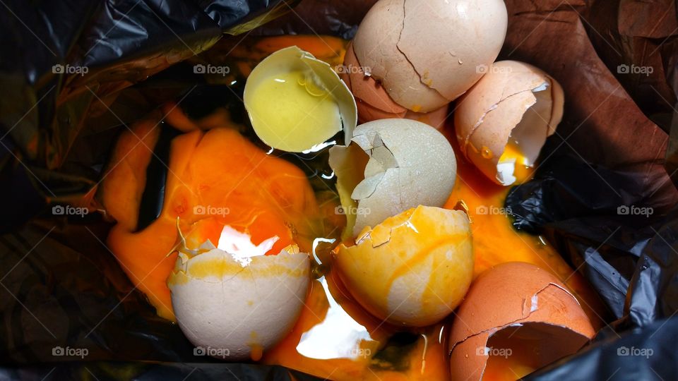 Ovos quebrados, de galinhas caipiras. Gemas, cascas e claras.