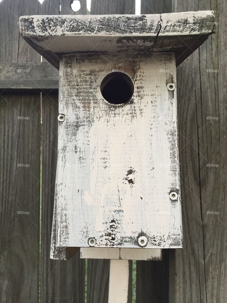 Whitewashed old birdhouse. 