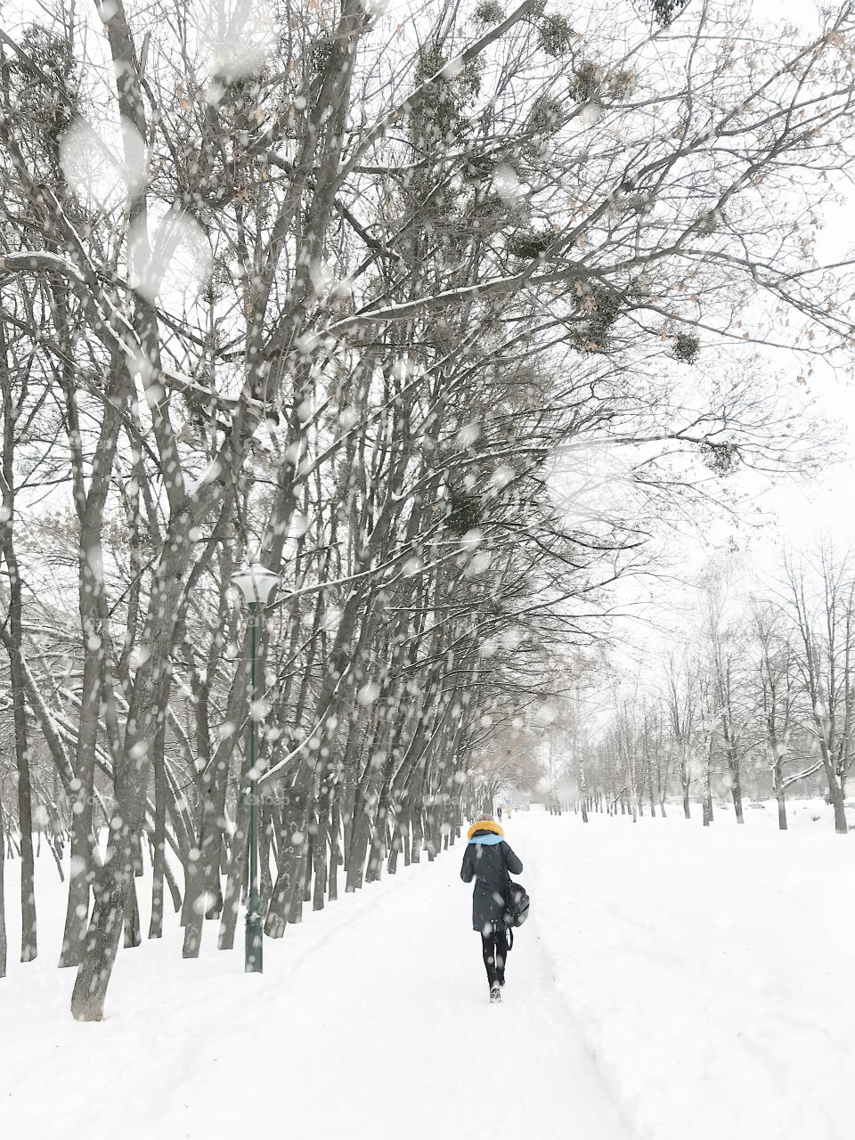 Tiny human walking under the trees in winter 