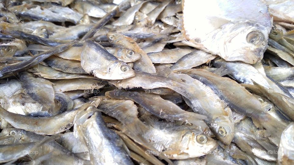 Salted fish that is ready to be cooked