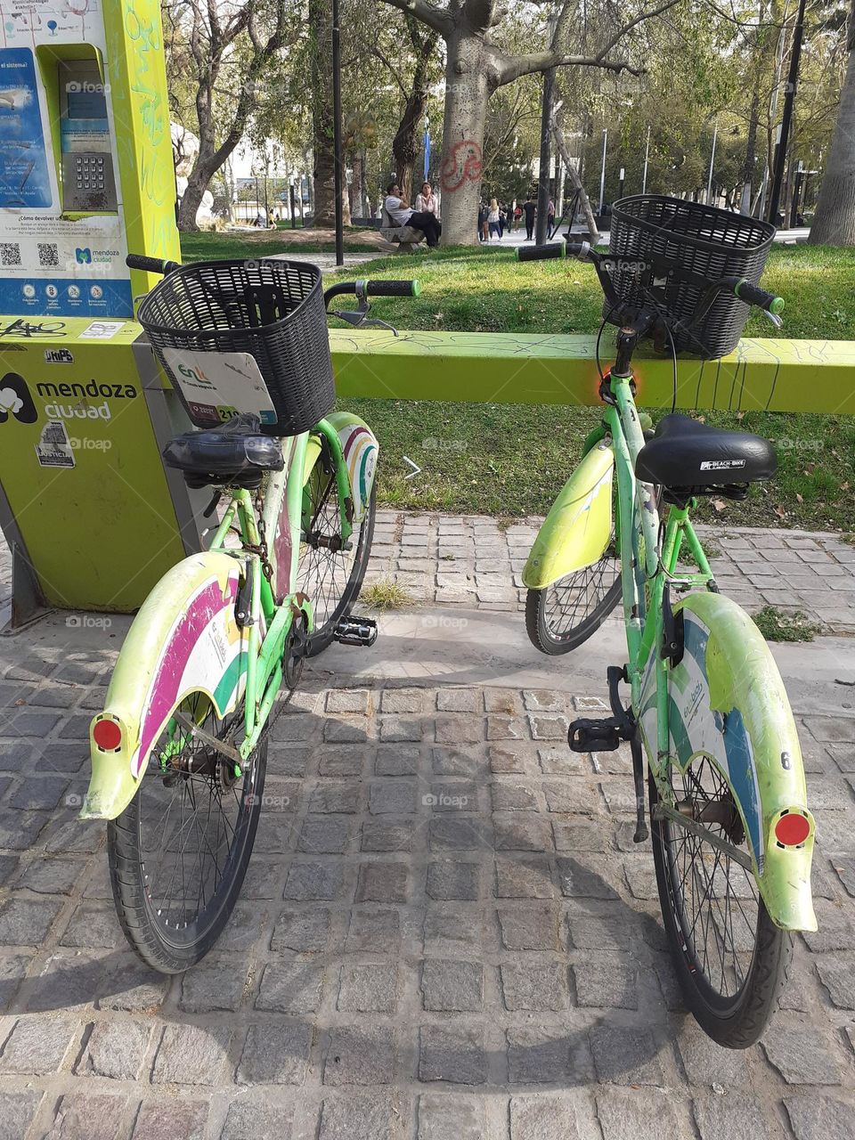 dos bicicletas verdes