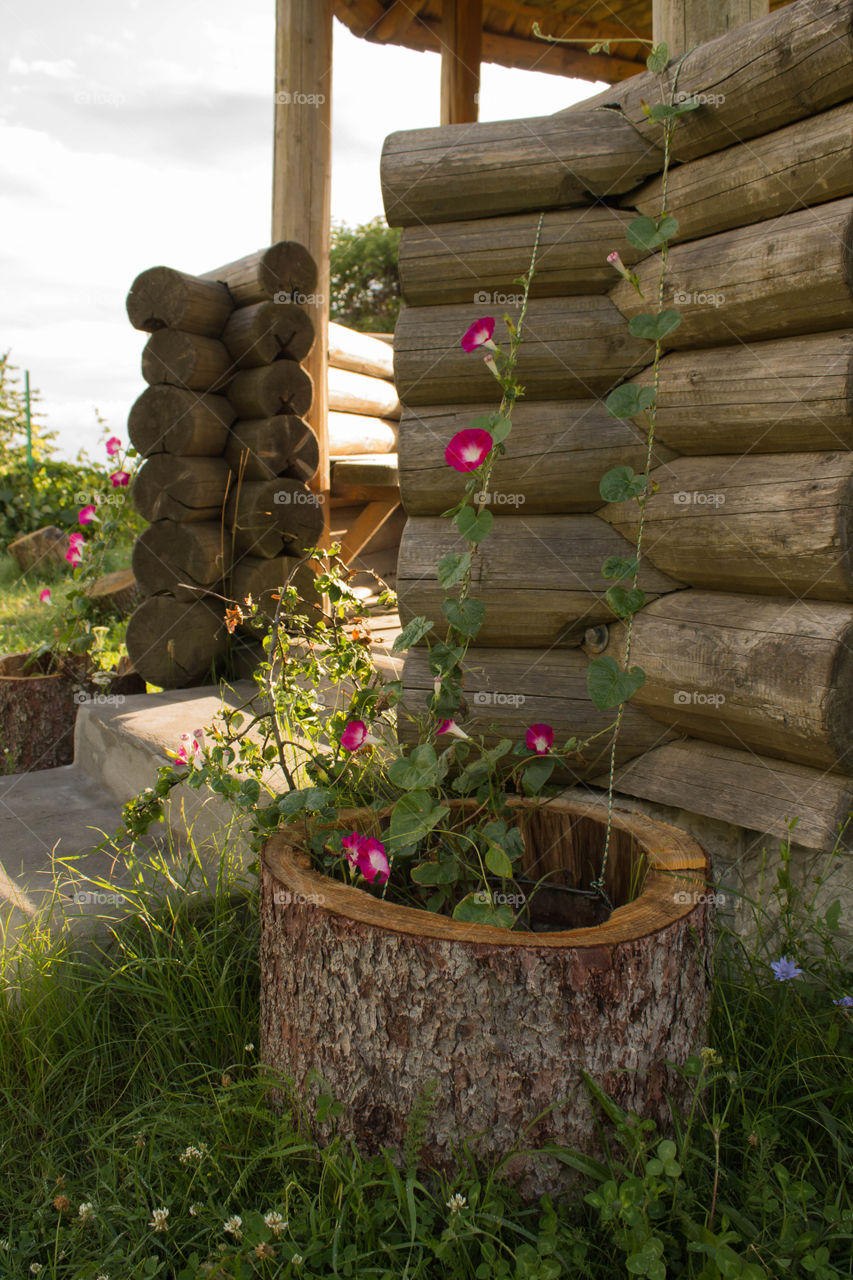 No Person, Wood, Wooden, Nature, Garden