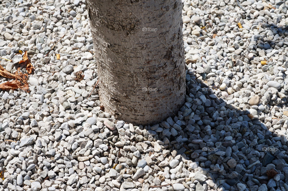 wood tree shadow stones by lexlebeur