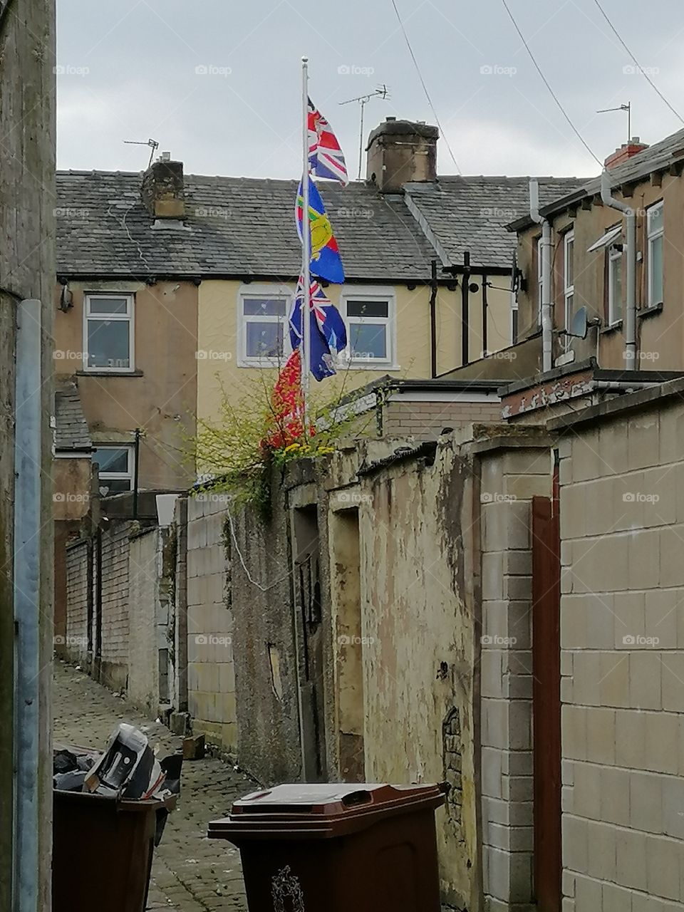 Flags In A Backyard