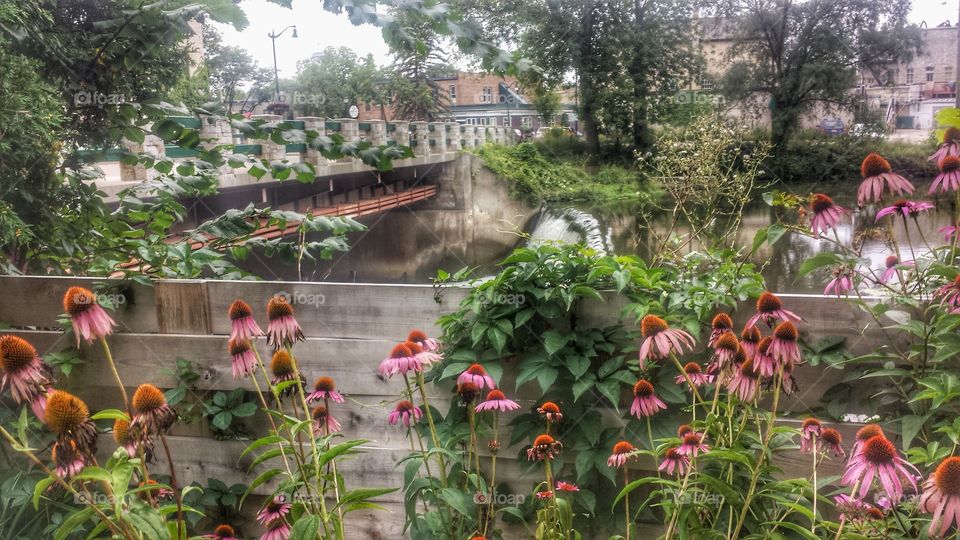 Bridge Over River