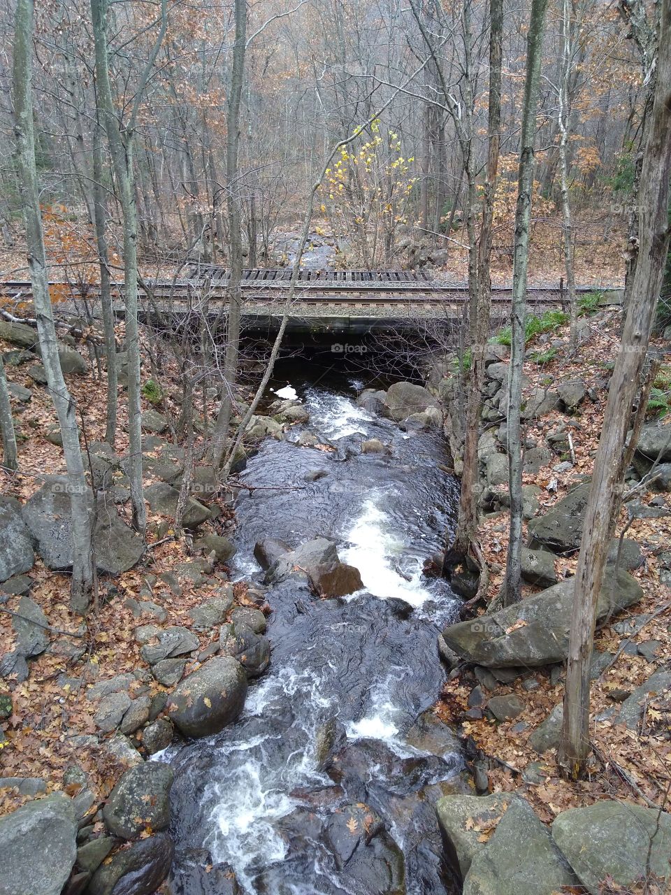 train trestle Overbrook