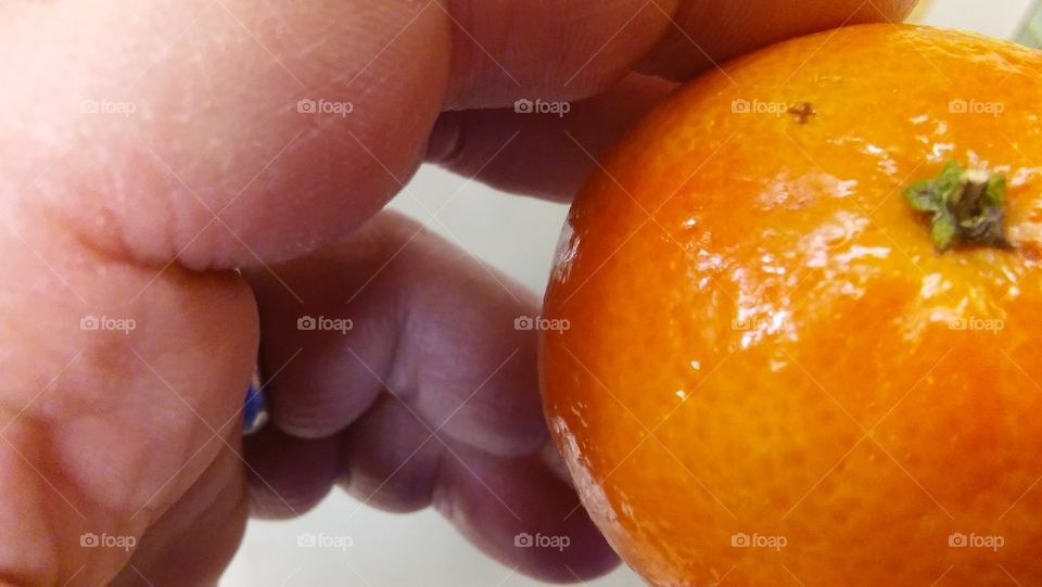 Fresh from the Market. Mandarin oranges.