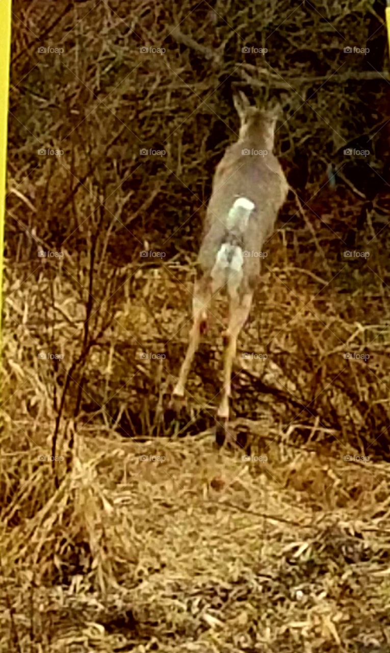 Driving the back Roads, Enjoying Nature