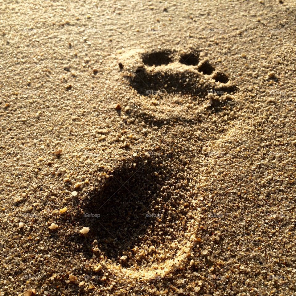 Foot print on sand