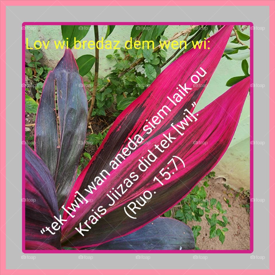 One way to show love to others