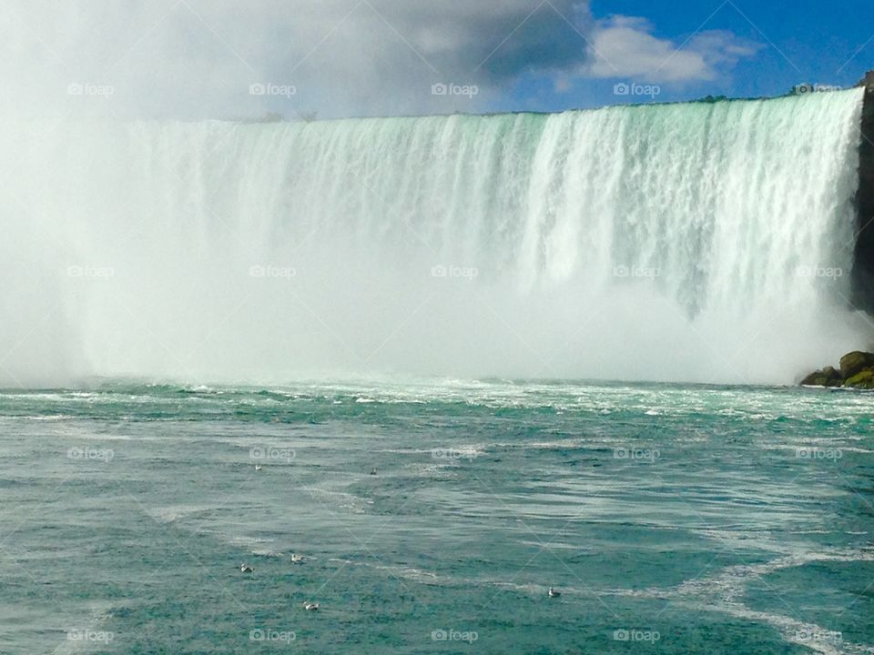 horseshoe falls