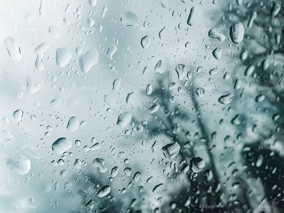 Close-up of a water drops during day 