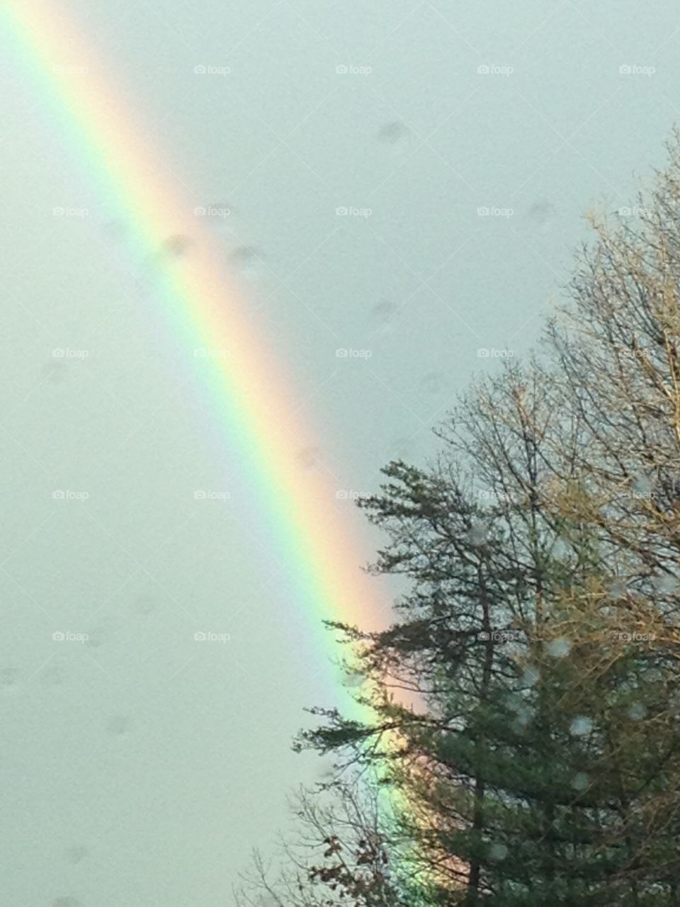 Rainbow and raindrops 