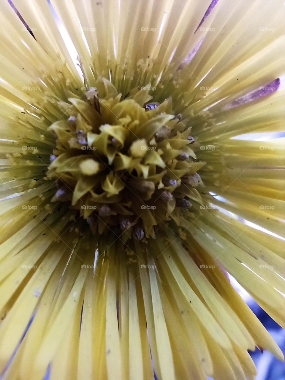 hello to spring, after the snowfall, the sun's warming, the warming of the soil and the emergence of natural beauties