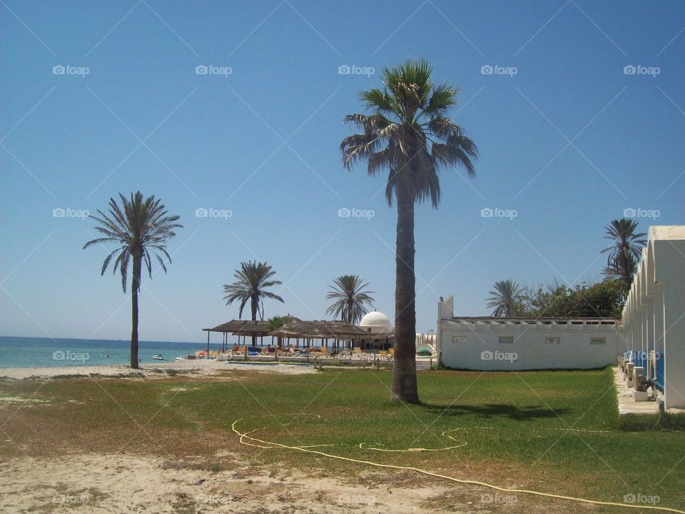 Travel in Tunisia