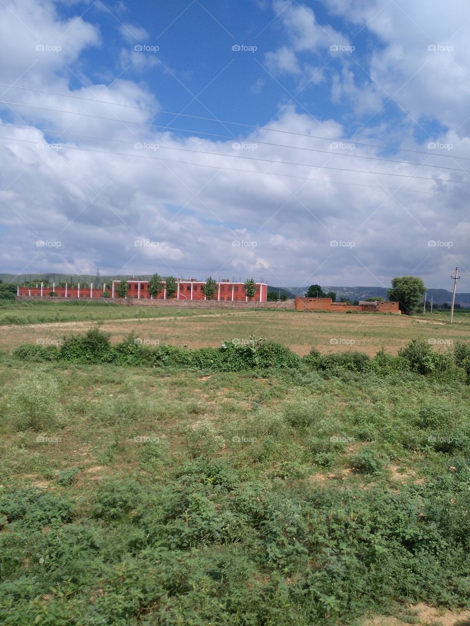 Scenic view of cloudy sky against grassy landscape