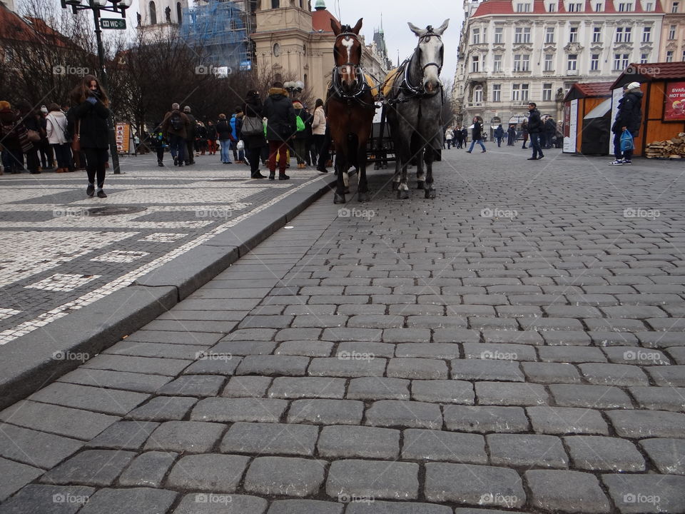 Horse carriages in Prague