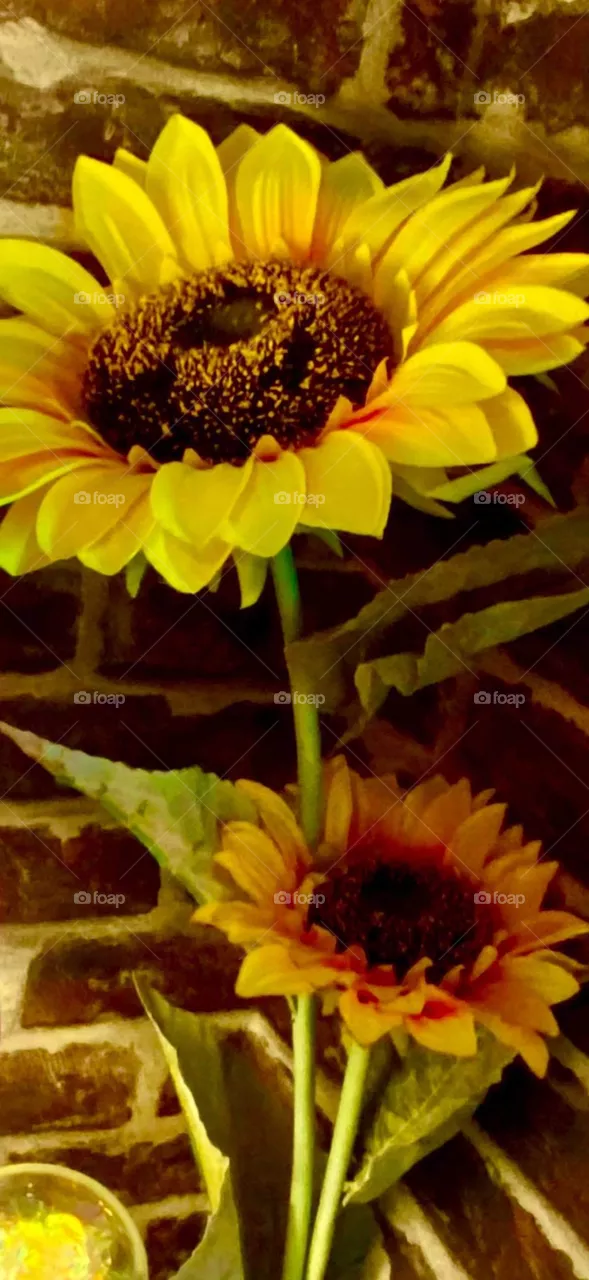 Color : Yellow / Still Life / Sunset Lover / Magic Cyprus / Magnificent/ My Magic World Through My eyes / Sky Explosion - Cyprus - Nicosia - Limassol Kurio