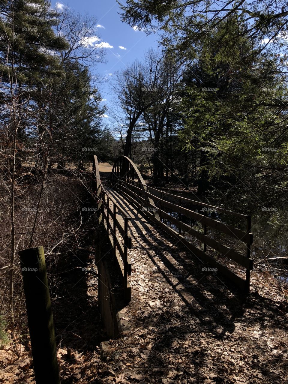 Black Rock State Park. Bridge on the hike.