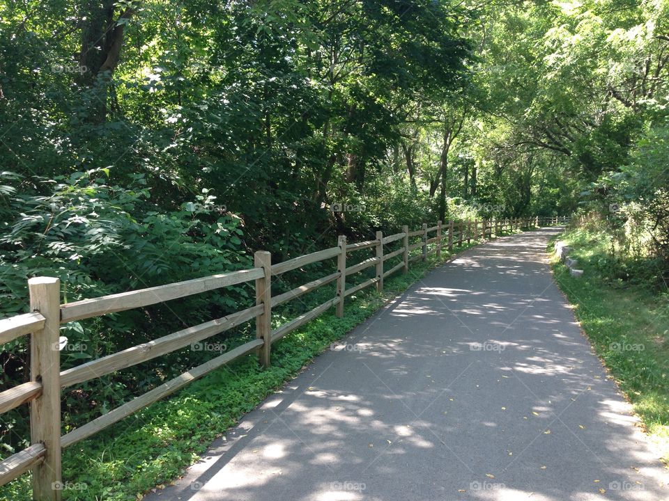 Fence by the path