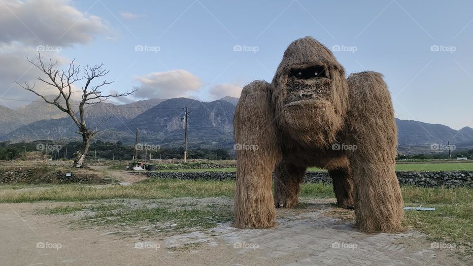 Closeup shot of a beautiful white and black and white monkey with straw background