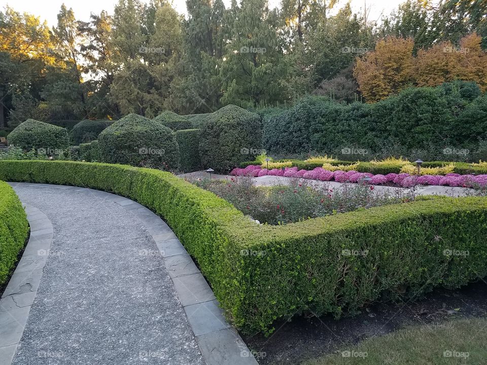 Beautiful view from sidewalk Dallas Arboretum