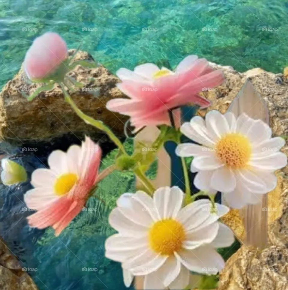 most beautiful and attractive flowers.