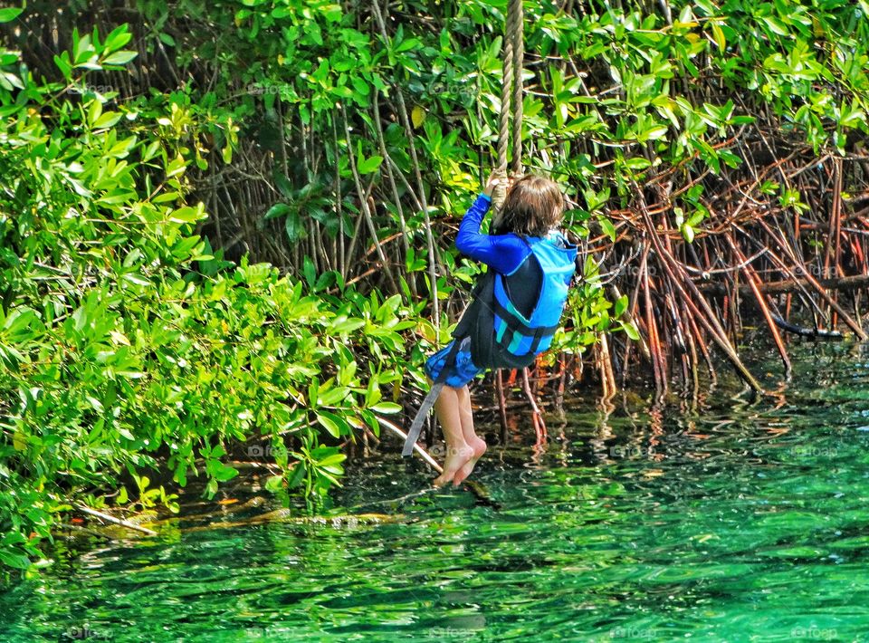 Jungle Zipline