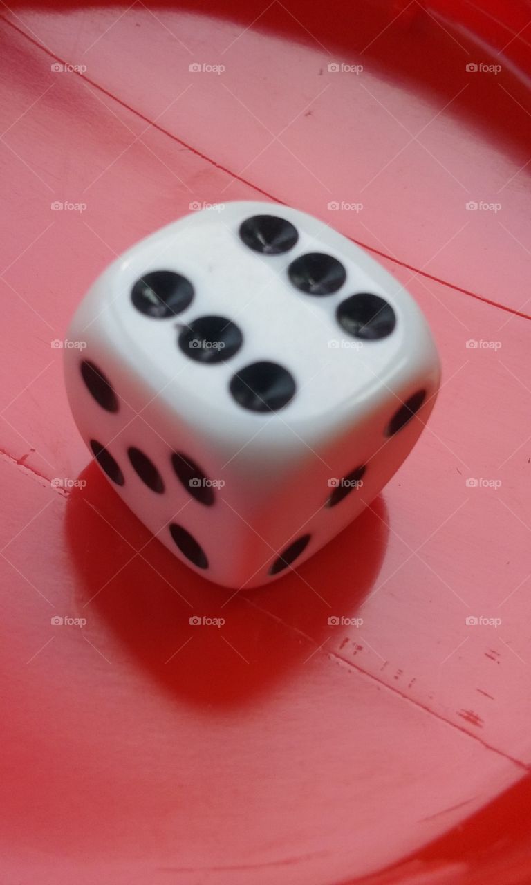 Beautiful macro shots