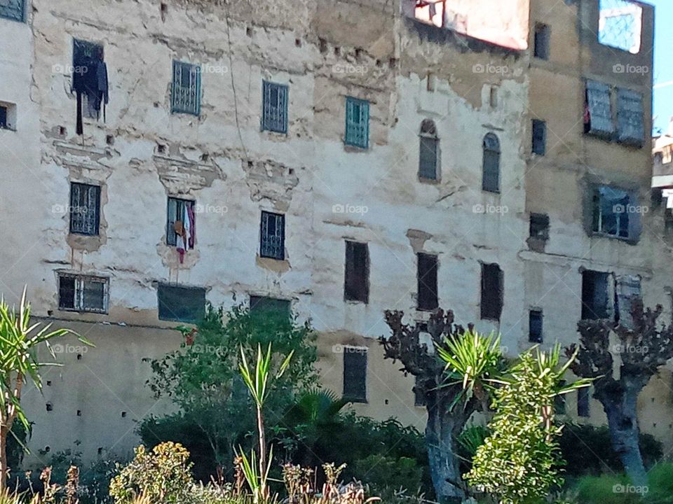Old building between the nature