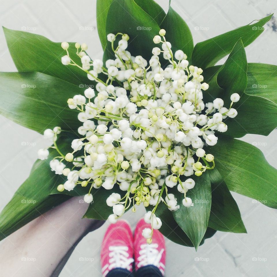 Lily of the valley