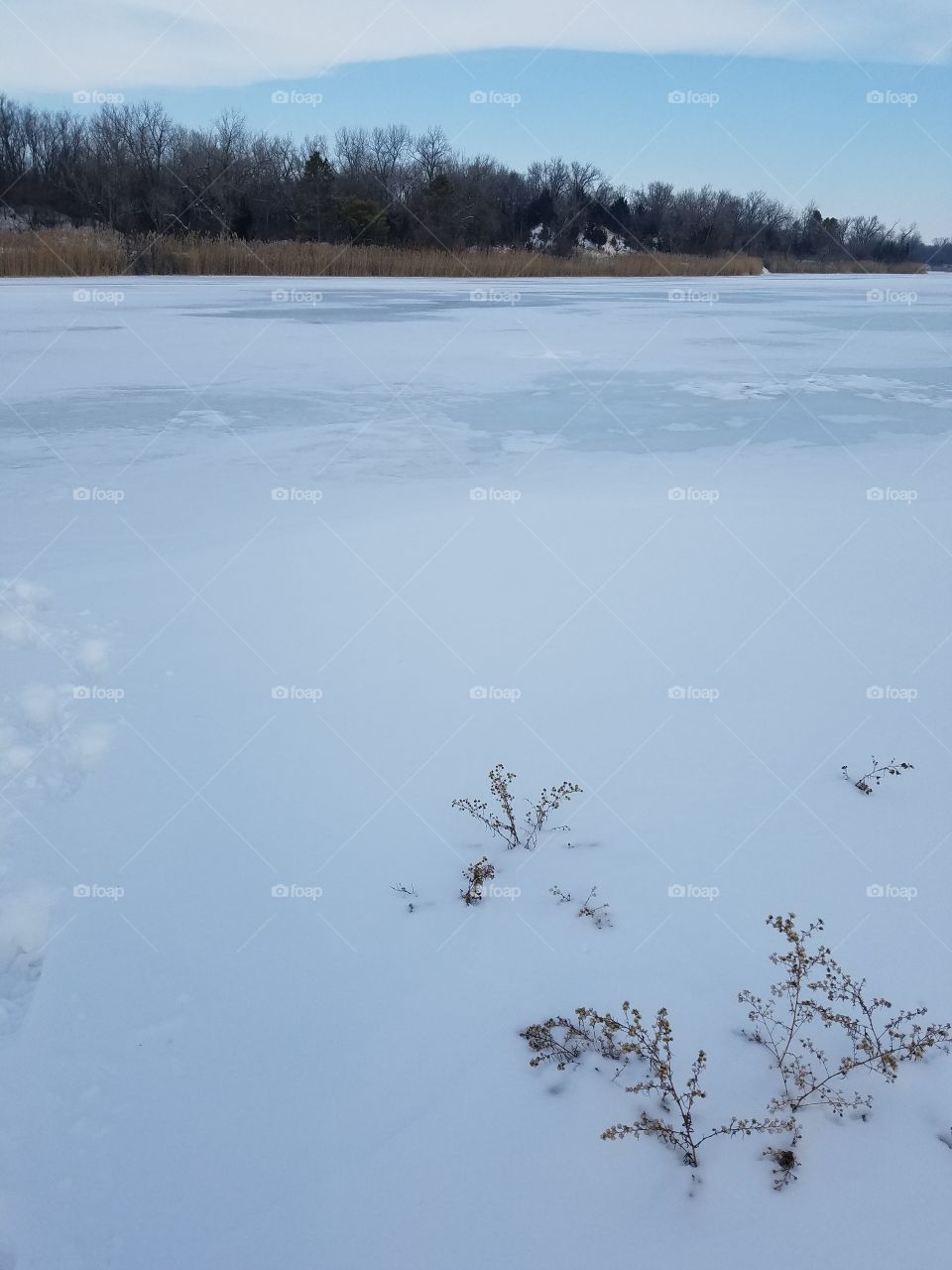 Snow and Ice Covered Lake